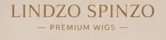 Lindzo Spinzo logo